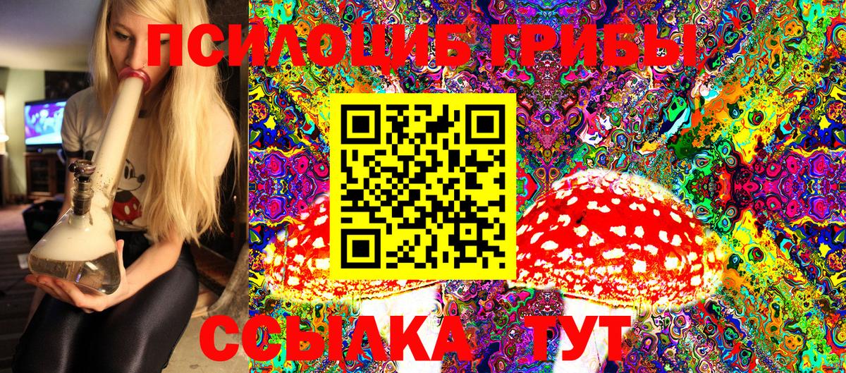 Волгодонск  Галлюциногенные грибы Psilocybine cubensis  Вход с VPN 