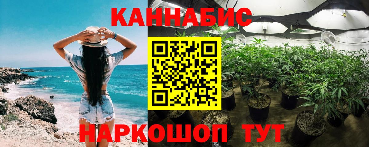 Бошки марихуана план Волгодонск